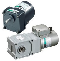AC Constant Speed Motor